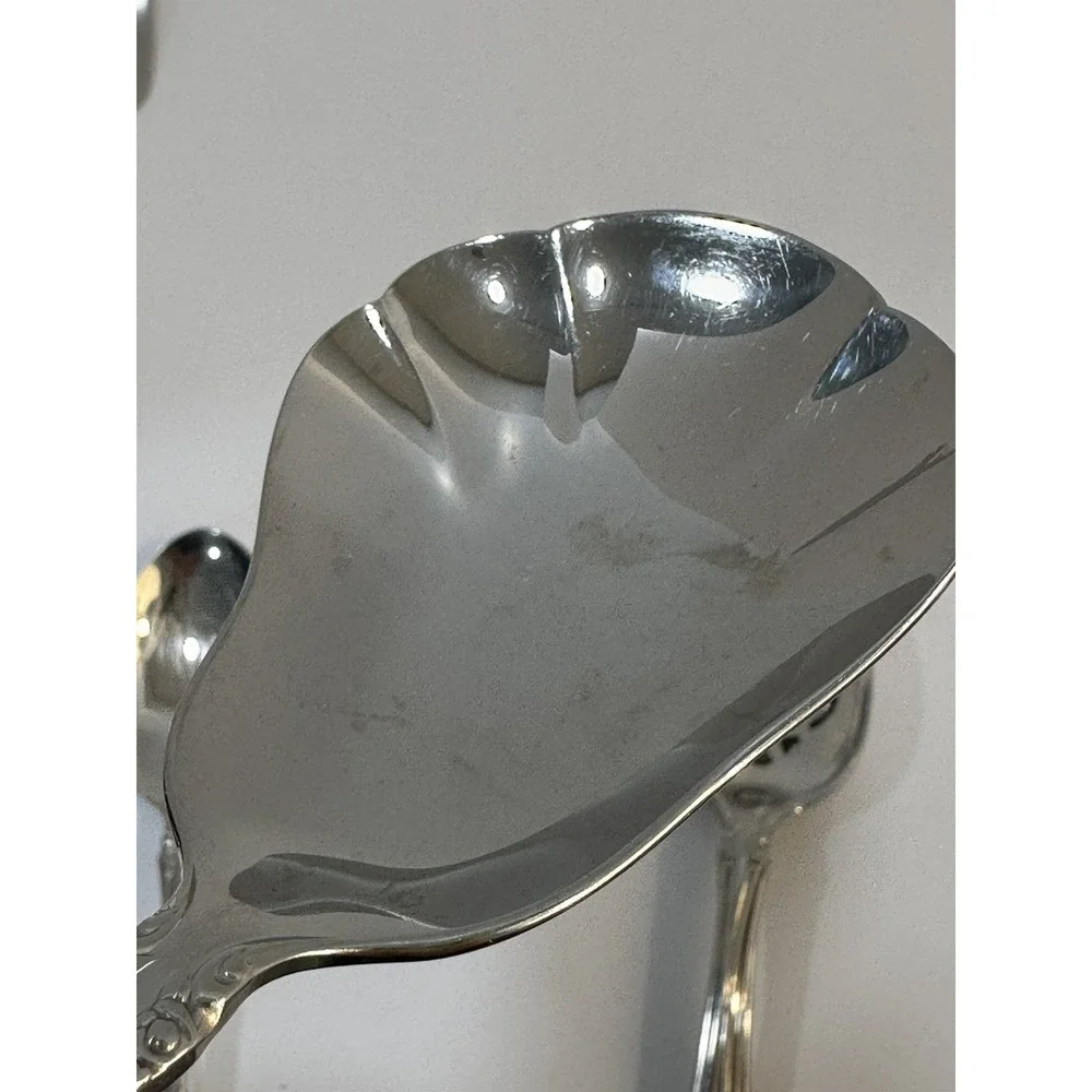 Oneida Community Brahms Stainless Steel Serving Set Spoons 9 PIECES READ